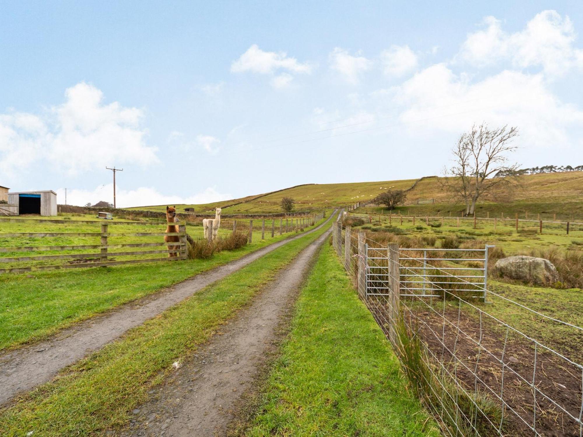 Ferny Rigg Byre - Uk3326 Falstone Exterior foto